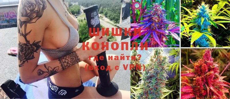 хочу наркоту  Заводоуковск  Шишки марихуана индика 